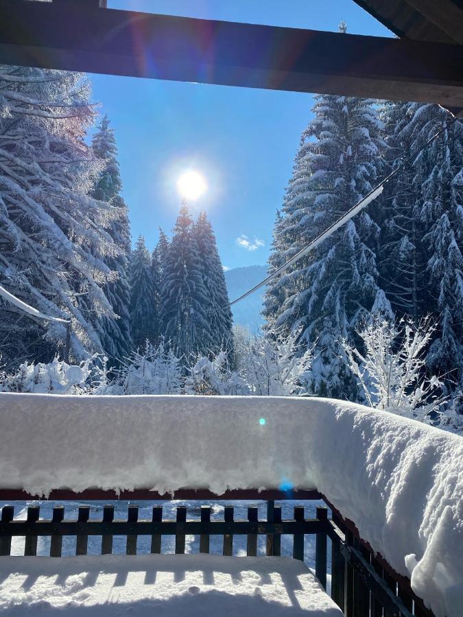 Wald-Ferienhaus-Seefried Immenstadt im Allgäu Exterior foto